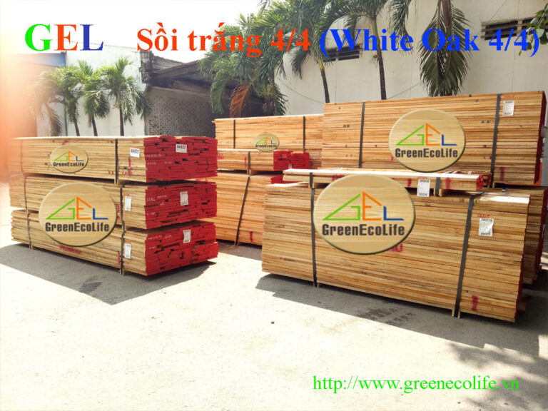 Go Soi Trang 4