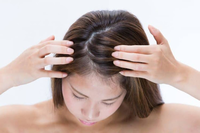 Chăm sóc tóc khô với cách chọn dầu gội nguyên liệu có sẵn tại nhà phù hợp với tóc