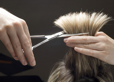 Cách để chọn một chiếc kéo cắt tóc chất lượng cho thợ mới vào nghề