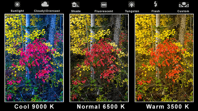 Tốc độ chụp Shutter Speed trong nhiếp ảnh kỹ thuật số