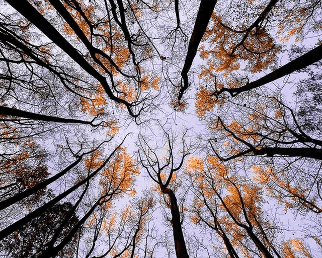 Các góc quay phim cơ bản và tiêu cự có vai trò gì đối với mỗi thước phim chuyên nghiệp? 2 Các góc quay phim cơ bản và tiêu cự có vai trò gì đối với mỗi thước phim chuyên nghiệp?