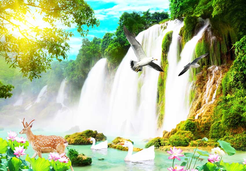 Backlit film công nghệ in kỹ thuật số mang đến sự khác biệt